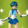 Sailor Mercury Animation Color