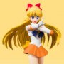 Sailor Venus Animation Color