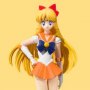 Sailor Venus Animation Color