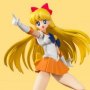 Sailor Venus Animation Color