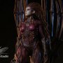 Sarah Kerrigan Swarm Queen