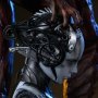 Sarah Kerrigan Swarm Queen