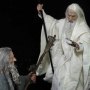 Saruman The White Memorial Slim