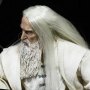 Saruman The White Memorial Slim