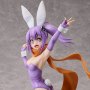Ninja And An Assassin Under One Roof: Satoko Kusagakure Bunny