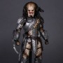 Alien Vs. Predator: Scar Predator 2