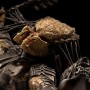 Scar Predator (Sideshow) (studio)