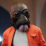Scum & Villainy Ponda Baba
