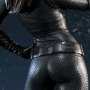 Catwoman (Selina Kyle)