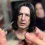 Severus Snape Platinum Masterline