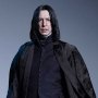 Severus Snape Platinum Masterline