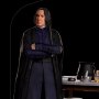 Harry Potter: Severus Snape Deluxe