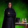 Severus Snape Deluxe