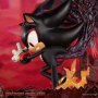 Shadow Evolved