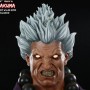 Shin Akuma (studio)