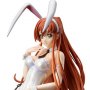 Code Geass-Lelouch Of Rebellion: Shirley Fennett Bare Leg Bunny