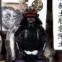 Shogun Tokugawa Ieyasu (Coo Model)