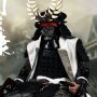 Shogun Tokugawa Ieyasu (Coo Model)