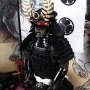 Shogun Tokugawa Ieyasu (Coo Model)