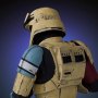 Shoretrooper