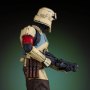 Shoretrooper