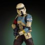 Shoretrooper