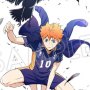 Shoyo Hinata