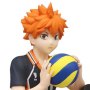 Shoyo Hinata Noodle Stopper