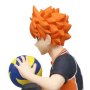 Shoyo Hinata Noodle Stopper