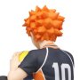 Shoyo Hinata Noodle Stopper