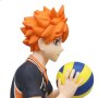 Shoyo Hinata Noodle Stopper