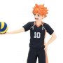 Haikyu!!: Shoyo Hinata Tenitol