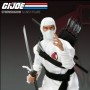 Storm Shadow (studio)