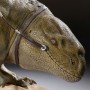 Star Wars: Desert Sands Detachment Dewback