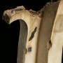 Jabba's Palace Archway (studio)