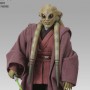 Star Wars: Kit Fisto