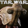 Momaw Nadon - Hammerhead (studio)