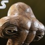Momaw Nadon - Hammerhead (Sideshow) (studio)