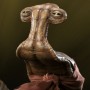 Momaw Nadon - Hammerhead (Sideshow) (studio)