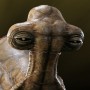 Momaw Nadon - Hammerhead (Sideshow) (studio)