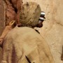 Tusken Raider (Sideshow) (studio)