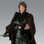 Star Wars: Anakin Skywalker