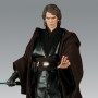 Star Wars: Anakin Skywalker (Sideshow)