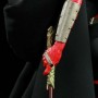 Darth Talon Dark (prototype) (studio)