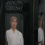 Luke Skywalker (produkce)