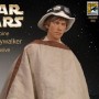 Star Wars: Luke Skywalker (SDCC 2005)