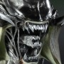 Predalien (studio)