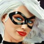 Black Cat (Sideshow) (studio)