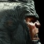 Rhino (studio)