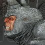 Rhino (Sideshow) (studio)